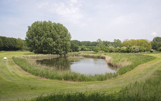 small lake in the nature park lelystad in Holland