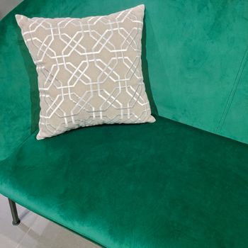Elegant green velvet sofa with ornate cushion. Expensive furniture.