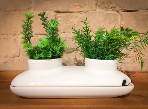 White decorative ceramic pot with two green plants. Modern home decor.