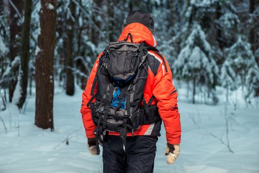 view from the back of a tourist on a hike in the winter forest