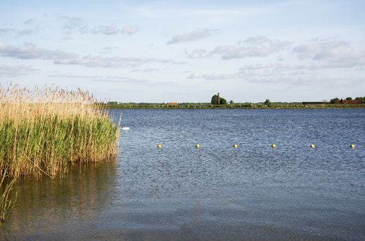 horizon over the dutch landscape with the water nuldernauw