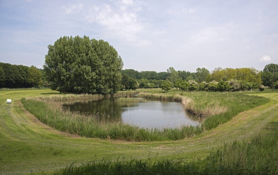 small lake in the nature park lelystad in Holland