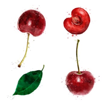 Cherry, isolated hand-painted illustration on a white background