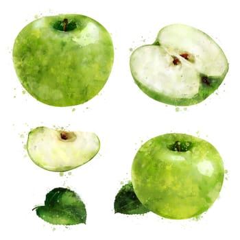 Green Apple, isolated hand-painted illustration on a white background