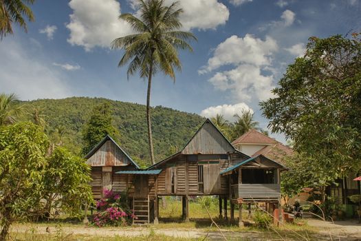 Traditional rural residence with palm tree, village on Penang Island, Malaysia