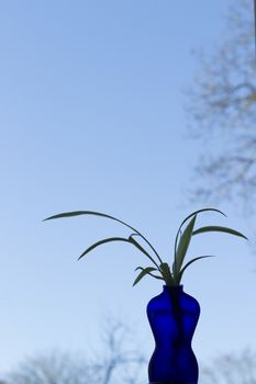 Blue vase shaped as a woman with plant, sky background. Different shades of blue. Lots of blue sky/space.