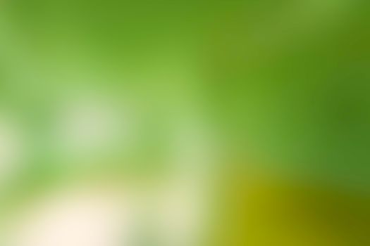 Abstract green soft blurred background. Canvas for any project