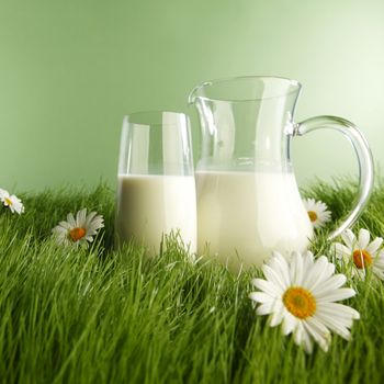 Glass of milk and jar on fresh grass meadow with chamomiles