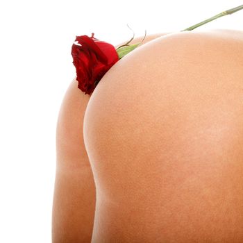 Red rose flower on a female butt, isolated on white background