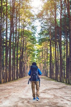 hiking man with backpack walking in forest.