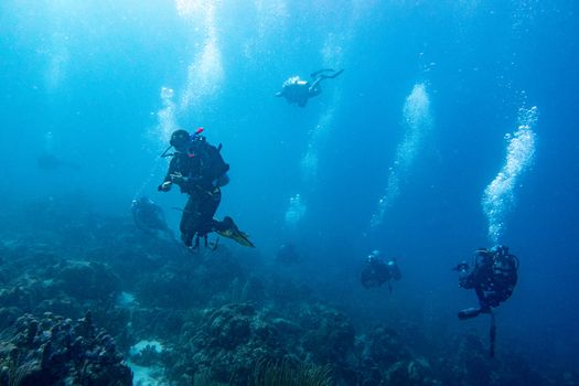 Diver team works on cleaning a reef from garbage, anchor, plastic pieces etc. This is an essential work for keeping the reef healthy and keep enjoying diving in the area