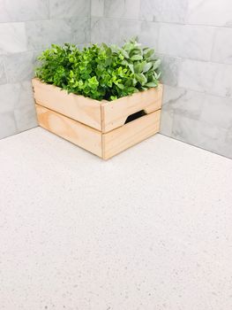 Green plant in a wooden box in the corner of a kitchen countertop. Space for text.