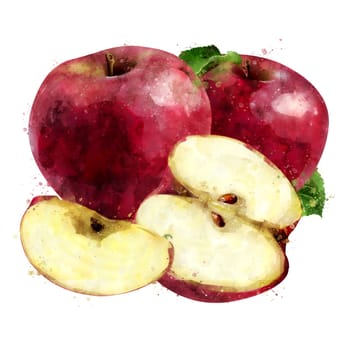 Red Apple, isolated hand-painted illustration on a white background