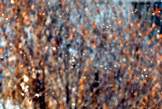 texture of autumn leaves illuminated by the sun with flying snow, shot without focus