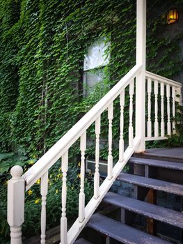 Entrance of an old house covered with green ivy. Wooden staircase with white rail.