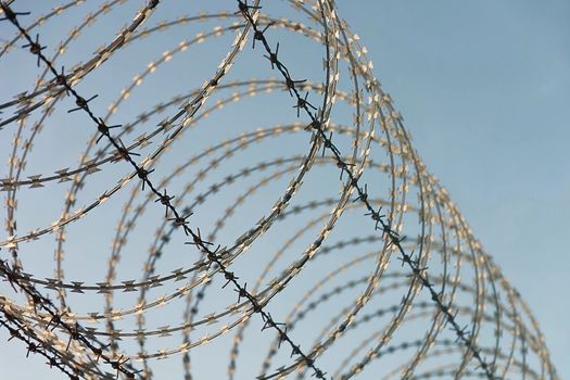 Barbed Wire Fence Used For Protection Purposes Of Property And Imprisonment, No Freedom, Barbed Wire On fence With Blue Sky To Feel Worrying.