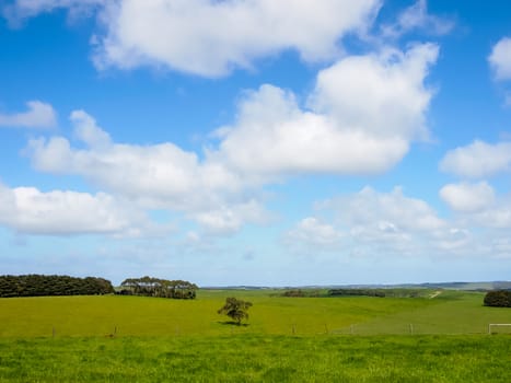 Nice view of Great Ocean Road, Australia - hills covered by green grass with beautiful sky