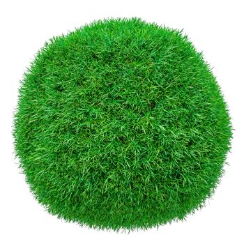 Green grass ball. Isolated on white. 3D illustration