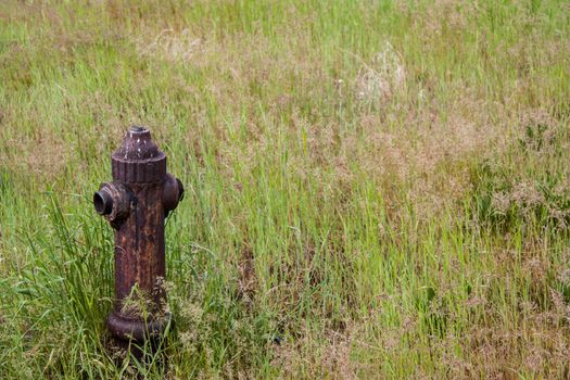 Old rusty fire hydrant surrounded by a grassy field