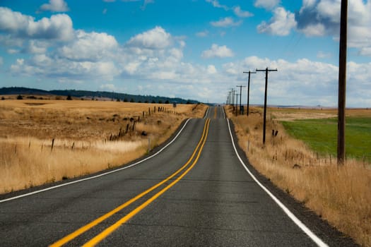 Colorful country road with a blue sky and golden green grass