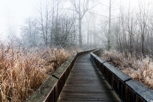 Frost covered nature trail boardwalk in the winter with trees