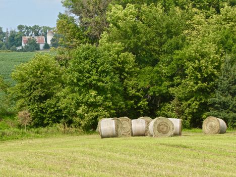 A group of round bales show against the trees at the edge of a green pasture.