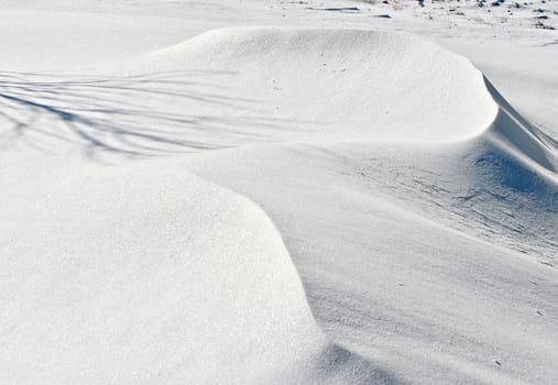 The ridge line of a wandering snow drift appears with the shadow of a tree falling on it.