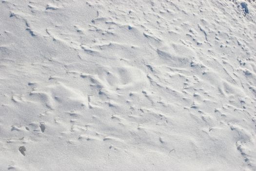 A field of wind blow snows shows its texture in the bright sunlight.