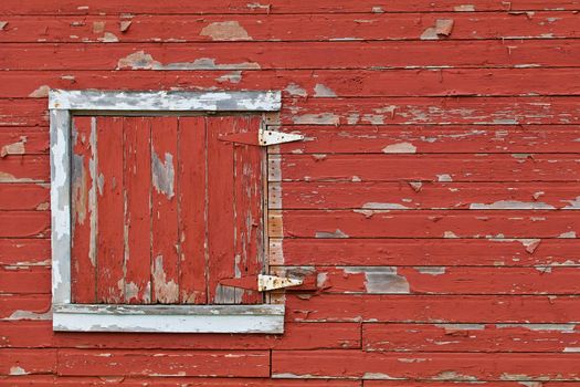 A white framed barn door with peeling paint shows on red peeling barn siding.