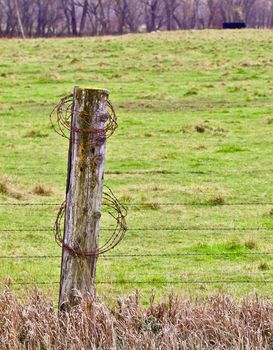 Rusty coils of barbed wire hang on a weathered wood post against a bright green grassy field.