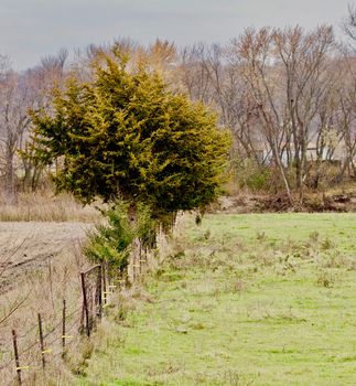 A pasture fence line recedes into the distance beside a green pasture.