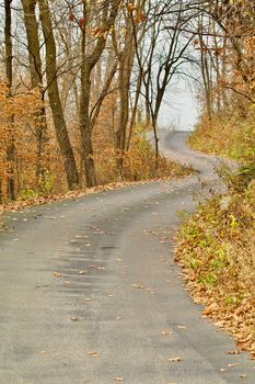 A winding road surrounded by fallen autumn leaves winds up the hill out of the valley.