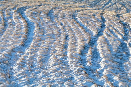 Curved paths of mowing show in the freshly fallen snow along the roadside.