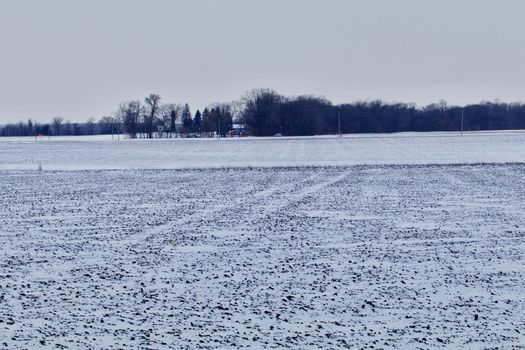 A farmsted in the background with plowed fields in the foreground covered with white snow shows.