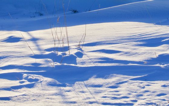 Blue snow drifts on the prairie