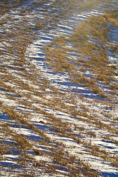 Curved tracks show in a snowy field