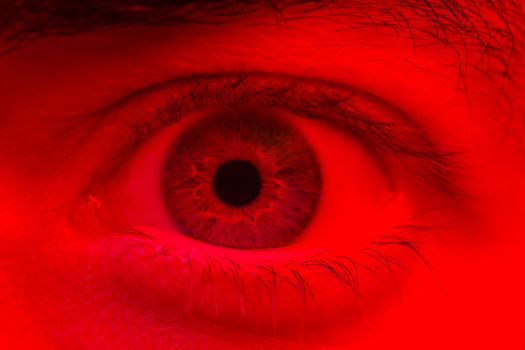 Macro on man eye expressing shocked surprise and fear expression.