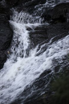 Morans Falls, Tamborine mountains located in the South East region of Queensland.