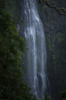 Morans Falls, Tamborine mountains located in the South East region of Queensland.