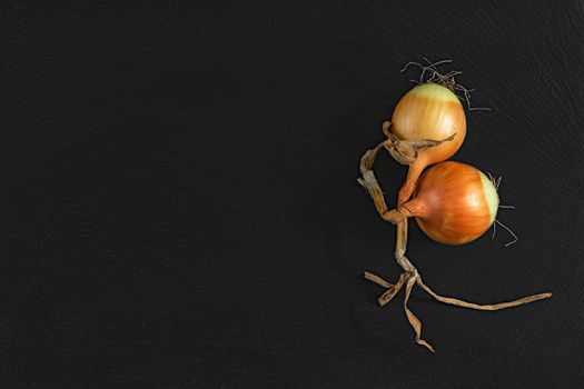 Orange raw two onions on black stone surface. Top view, copy space.