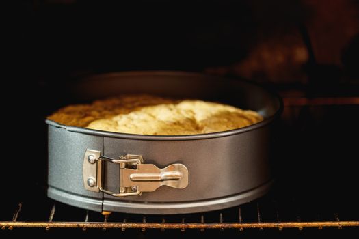 Charlotte, biscuit, pastry, cake in form in the oven. Fresh pastries in processes. Shallow depth of field.