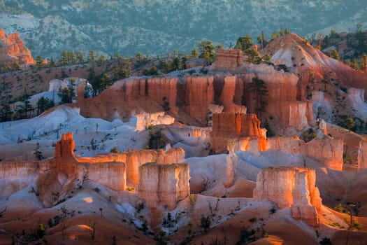 Glowing Hoodoos in Bryce Canyon