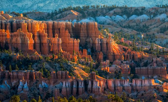 Golden Sunrise at Bryce Canyon