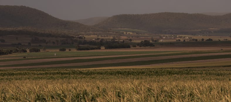 Agricultural and farming field in the countryside.