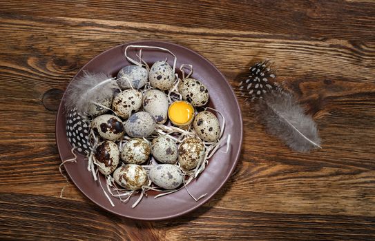 fresh quail eggs in a plate on a wooden background