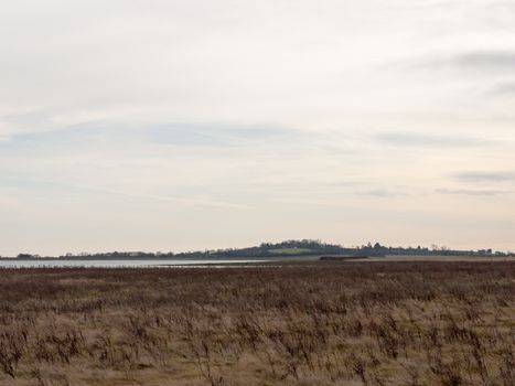 open sea coast plain with grass in front horizon overcast clear calm; essex; england; uk