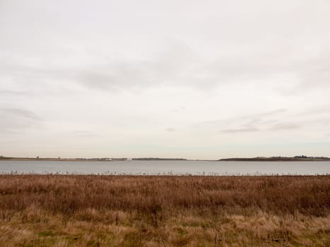open sea coast plain with grass in front horizon overcast clear calm; essex; england; uk