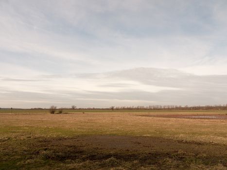 outside open field summer spring day sky clouds plain grass; essex; england; uk