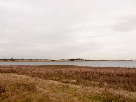 open sea coast plain with grass in front horizon overcast clear calm; essex; england; uk