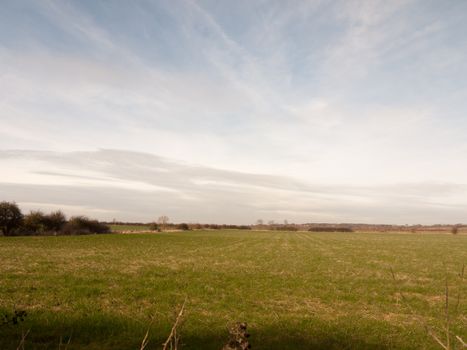outside open field summer spring day sky clouds plain grass; essex; england; uk